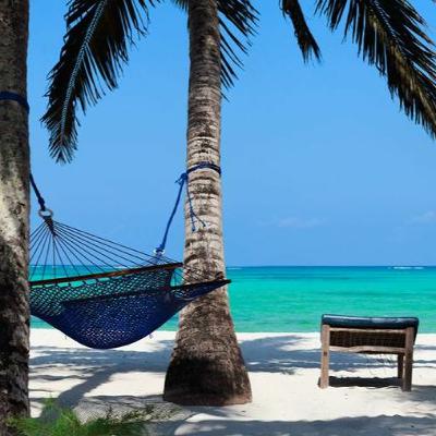 Living Planet: Out and about Living Planet: Out and about