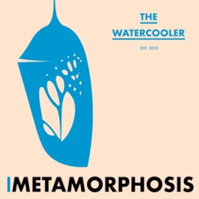 Akld #39 Metamorphosis