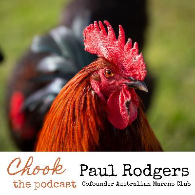 Paul Rodgers, Cofounder, former Australian Marans Club
