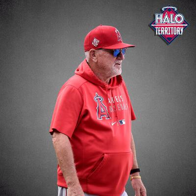 Joe Maddon joins Halo Territory