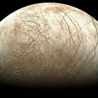 El primer y último viaje a Europa. El primer y último viaje a Europa.