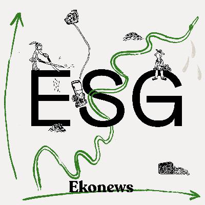 106: ESG podcast: Omnibus příliš nezměnil situaci, klienti i partneři chtějí ESG data dál, uvádí sustainability manažerka 106: ESG podcast: Omnibus příliš nezměnil situaci, klienti i partneři chtějí ESG data dál, uvádí sustainability manažerka