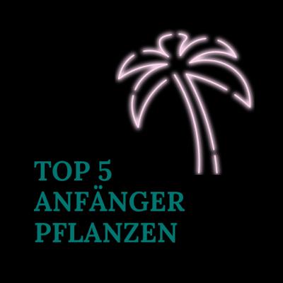 Die Top 5 Anfänger Pflanzen