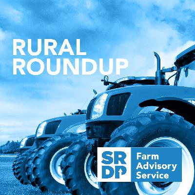 Rural Roundup - Storm Babet, PSF Funding Opportunities and a Conversation about Sheep and Cow Supplementation