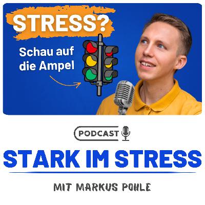 Die Stressampel: 3 Ebenen der Stressbewältigung, die du kennen musst! (Folge 18)