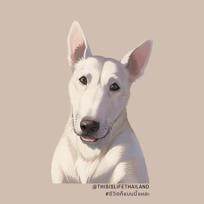 อดีต มักจะมีช่วงเวลาที่ทำให้เรายิ้มได้เสมอ - This is LIFE EP.30 อดีต มักจะมีช่วงเวลาที่ทำให้เรายิ้มได้เสมอ - This is LIFE EP.30