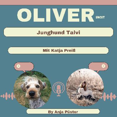 Junghund Talvi