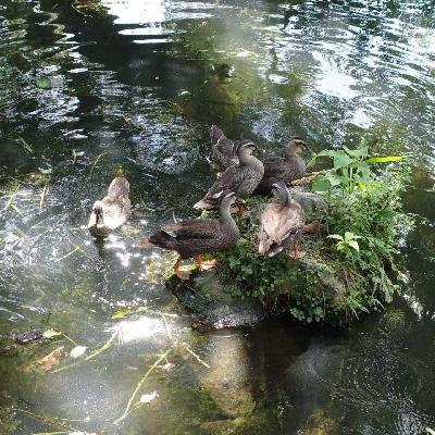 不断爱上想象中的夏天,在它真正到来之前