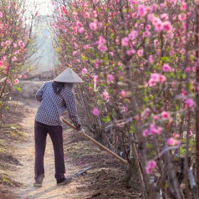 25 aprile e Oriente: il mare, la terra e la fede