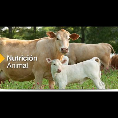 Nutrición animal