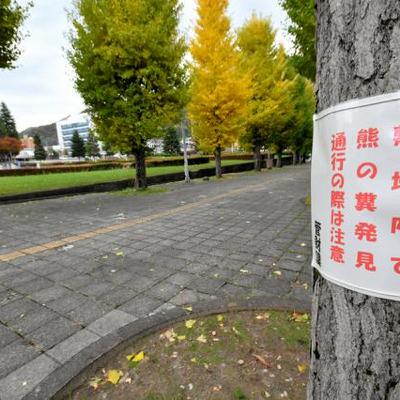 11月7日 AI編集長の前日ピックアップニュース