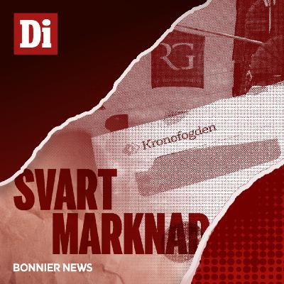De granskade toppadvokaterna i konkursvågen