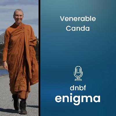 Loving kindness meditation | EN | Venerable Canda | Venabu 2025
