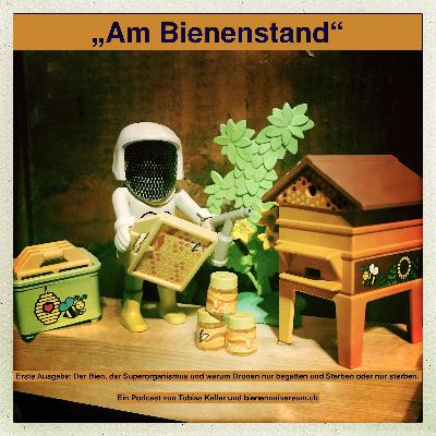 Das Bienenvolk - der Superorganismus