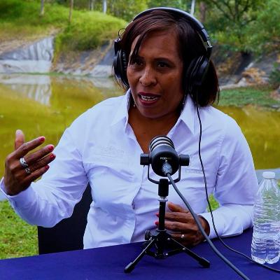 #102.2 De ama de casa a líder cañera: Amanda Fernández y la zafra en SLP #102.2 De ama de casa a líder cañera: Amanda Fernández y la zafra en SLP