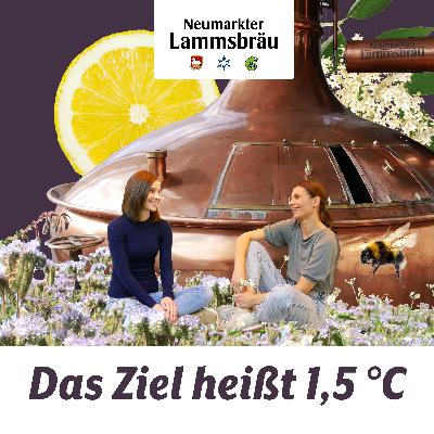 Alle Hebel in Bewegung setzen: So geht schnelle Klimagas-Reduktion