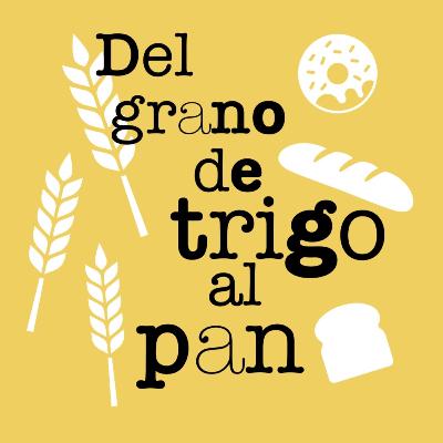 Del grano de trigo al pan Del grano de trigo al pan