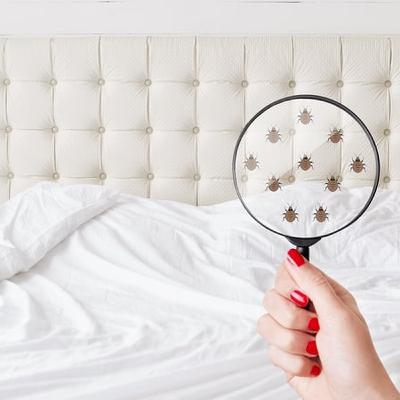 How often should you change your sheets