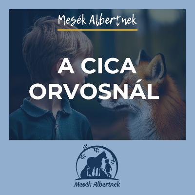 A cica orvosnál A cica orvosnál