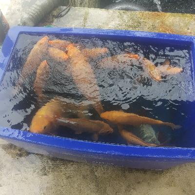 Hadapi dengan senyuman