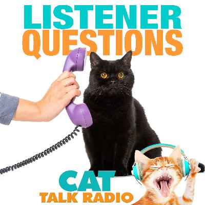 Listener Questions