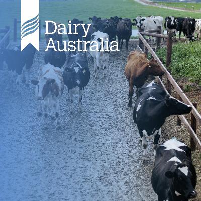 Animal health in wet conditions: Lessons from flooding