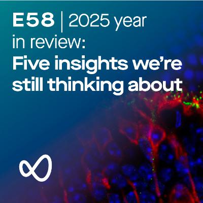 2025 Year in Review: Five insights we’re still thinking about