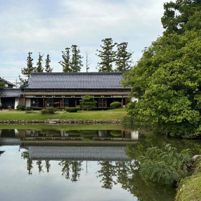 录音于日本冈山一个树林鸟鸣伴随着禅寺钟声-助眠音乐