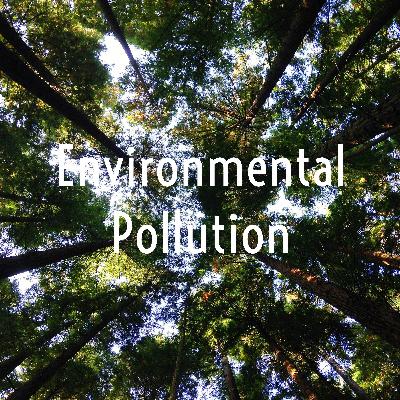 Environmental Pollution