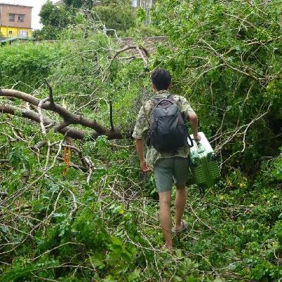 14. 花光存款流浪6国43城,开一家数字游民社区,我在过旅居世界的生活 14. 花光存款流浪6国43城,开一家数字游民社区,我在过旅居世界的生活