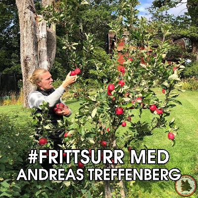 #frittsurr 23. Andreas Treffenberg #frittsurr 23. Andreas Treffenberg