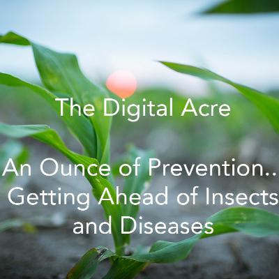 An Ounce of Prevention...Getting Ahead of Insects and Diseases