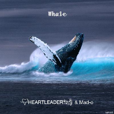 Whale (Release 06.01.2023)