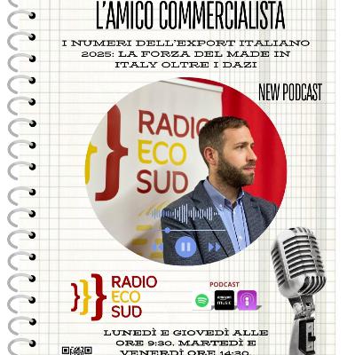 L'amico Commercialista 36 puntata