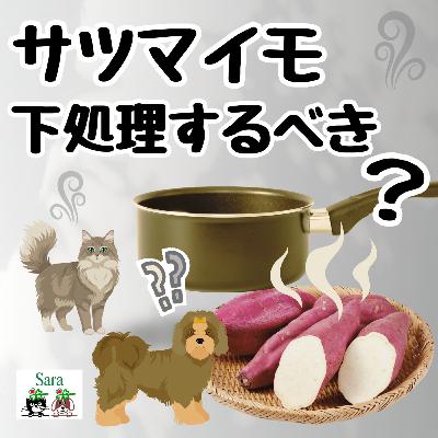 #1056. 手作り食：さつまいもの下処理はするべき？調理法について質問に回答