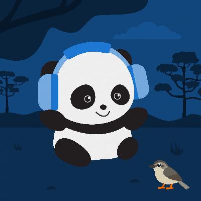 感受自由（澳大利亚森林）