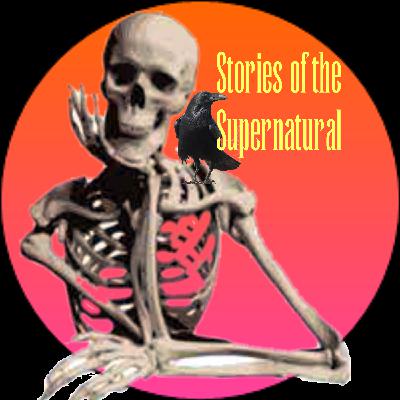Flying Saucer Stories | Interview with Tim Swartz | Podcast Flying Saucer Stories | Interview with Tim Swartz | Podcast