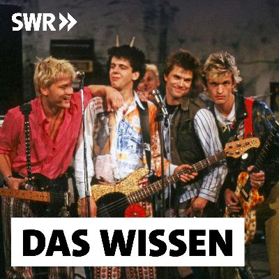Die Toten Hosen – Von Punk zu Pop