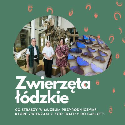 Szkielety i duchy. Muzeum Przyrodnicze UŁ | dr K. Majecka, prof. J. Nadolski | Zwierzęta łódzkie Szkielety i duchy. Muzeum Przyrodnicze UŁ | dr K. Majecka, prof. J. Nadolski | Zwierzęta łódzkie