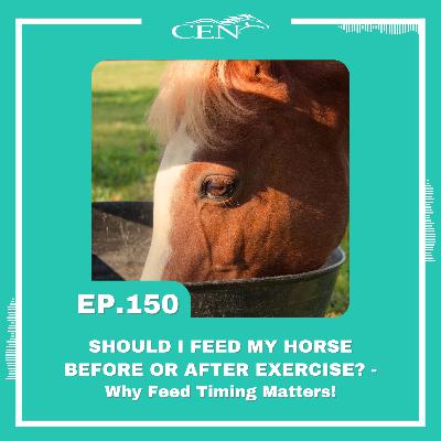 Ep. 150 | SHOULD I FEED MY HORSE BEFORE OR AFTER EXERCISE - Why Feed Timing Matters!