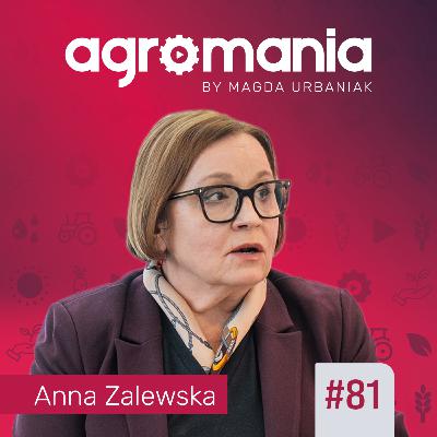 #81 - Kto rządzi europejskim rynkiem? #81 - Kto rządzi europejskim rynkiem?