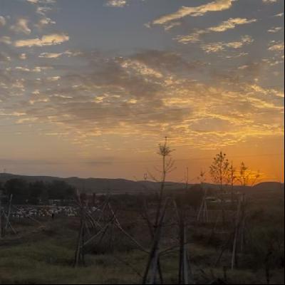 010.在爱里总感觉委屈？也许你错把“纵容”当成了“包容”