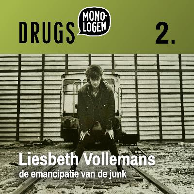 Liesbeth Vollemans: de emancipatie van de junk Liesbeth Vollemans: de emancipatie van de junk