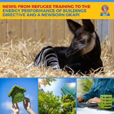 NEWS: From Refugee Training To The Energy Performance of Buildings Directive And A Newborn Okapi NEWS: From Refugee Training To The Energy Performance of Buildings Directive And A Newborn Okapi