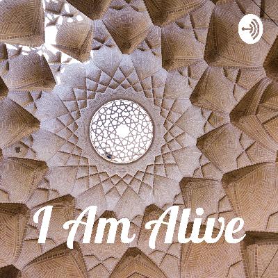 Eat Electronics, Not Wetsuits (Season 4: Episode 37)