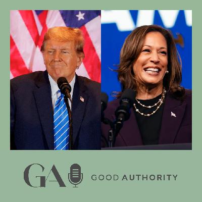 So what really determined the 2024 U.S. presidential elections?