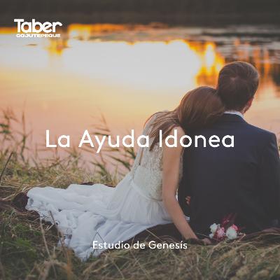 La Ayuda Idonea