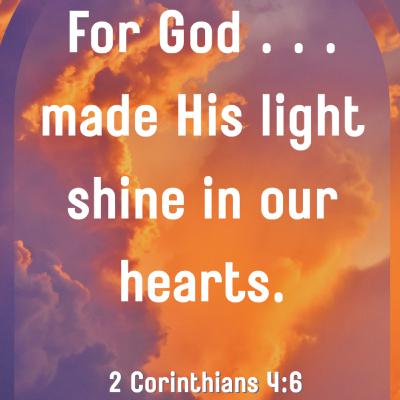 374: Wired to Shine: Your Brain, the Bible, and the Beauty of Light (TFTD #25) 374: Wired to Shine: Your Brain, the Bible, and the Beauty of Light (TFTD #25)