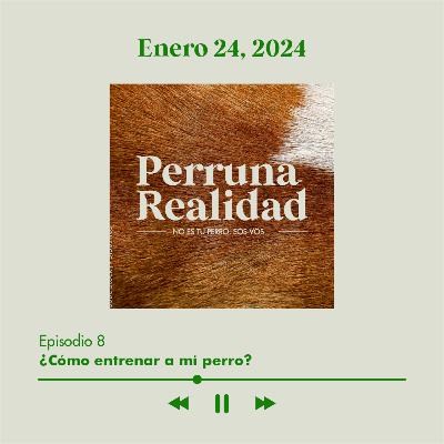 Perruna Realidad#8: ¿Cómo entrenar a mi perro?