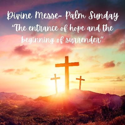 Palm Sunday - The entrance of hope and the beginning of surrender